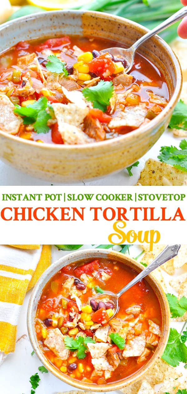 Slow-Cooker Chicken Tortilla Soup - The Seasoned Mom