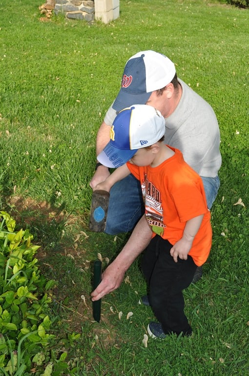 Painting a Birdhouse The Seasoned Mom