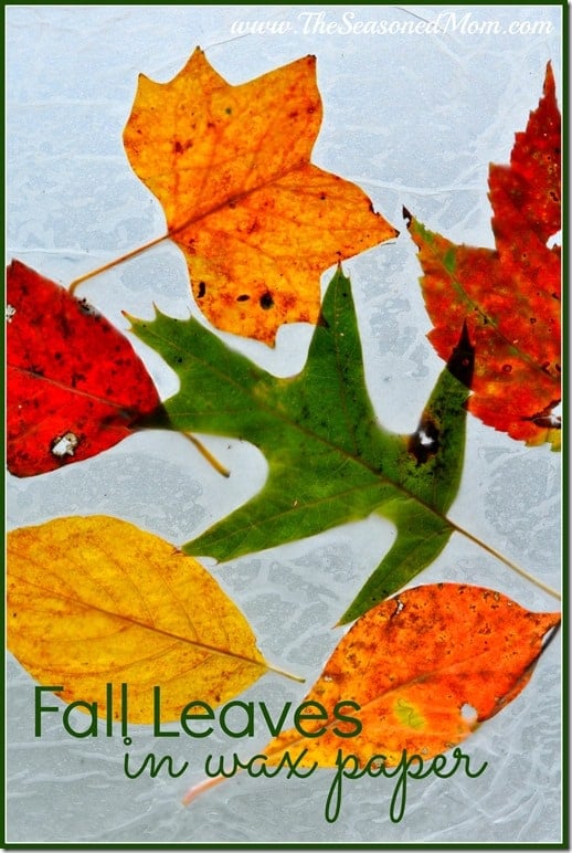 https://www.theseasonedmom.com/wp-content/uploads/2013/09/Fall-Leaves-in-Wax-Paper_thumb.jpg