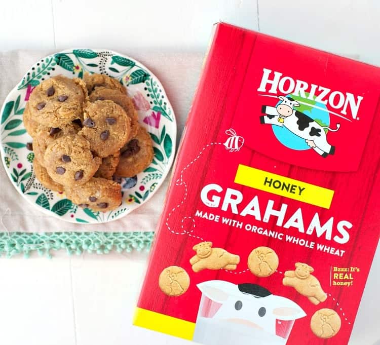 https://www.theseasonedmom.com/wp-content/uploads/2016/06/3-Ingredient-No-Bake-Graham-Cracker-Toddler-Cookies-7.jpg