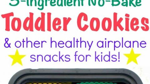 3-Ingredient No Bake Toddler Cookies + Airplane Snacks for Kids - The  Seasoned Mom