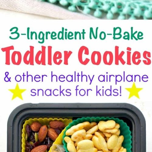 3-Ingredient No Bake Toddler Cookies + Airplane Snacks for Kids - The  Seasoned Mom