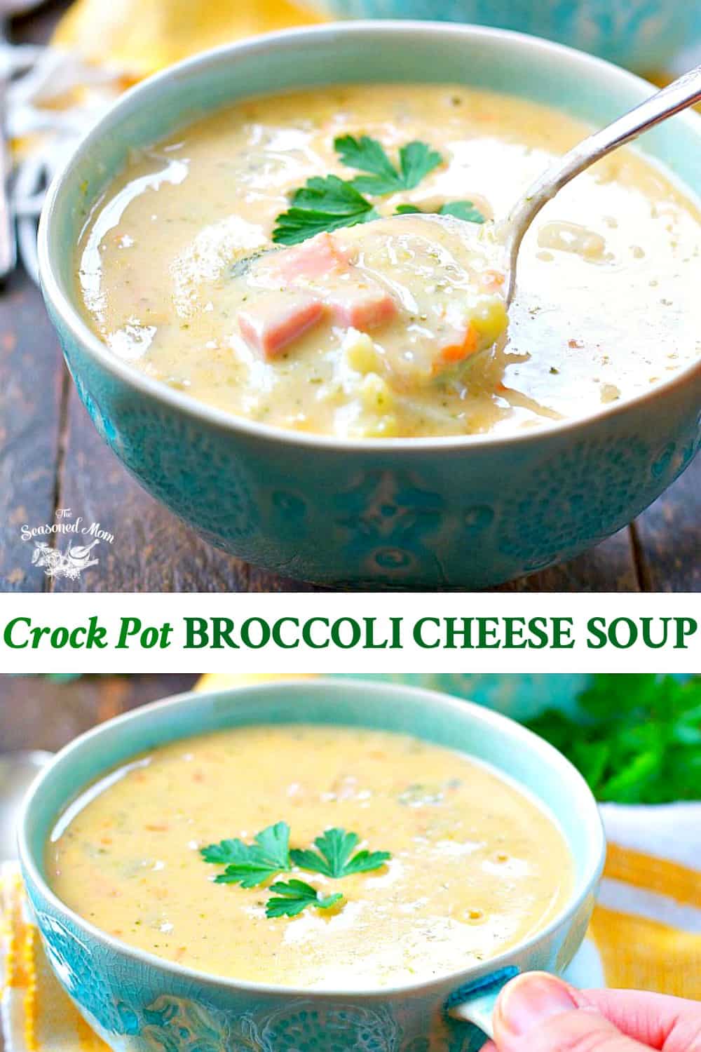 Crock Pot Broccoli Cheese Soup with Ham - The Seasoned Mom