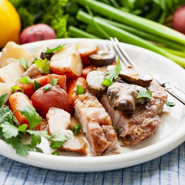 Square side shot of easy slow cooker pork chops on a plate with mushroom gravy.