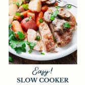 Easy slow cooker pork chops with text title at the bottom.