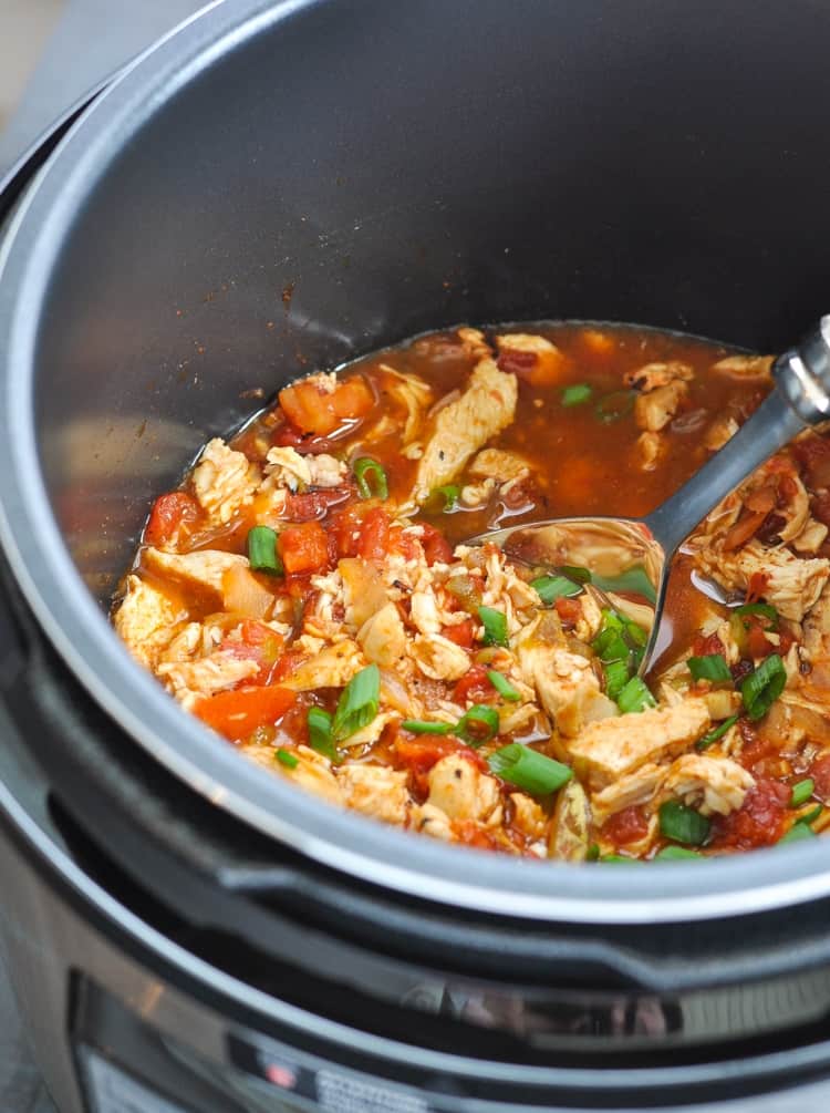 Slow Cooker Mexican Chicken - The Seasoned Mom