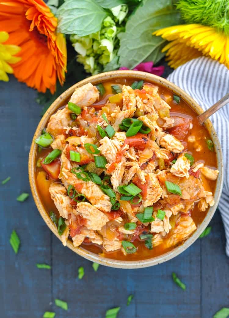 Slow Cooker Mexican Chicken The Seasoned Mom