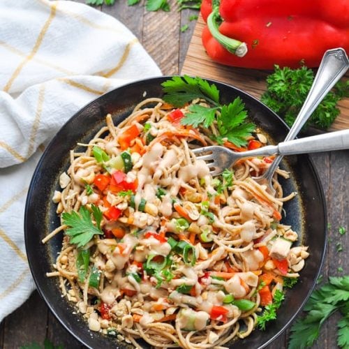 Cold Sesame Peanut Noodle Salad - The Seasoned Mom