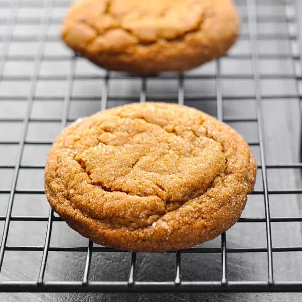 Chewy Molasses Cookies