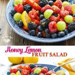 Honey Lemon Fruit Salad Recipe - The Seasoned Mom