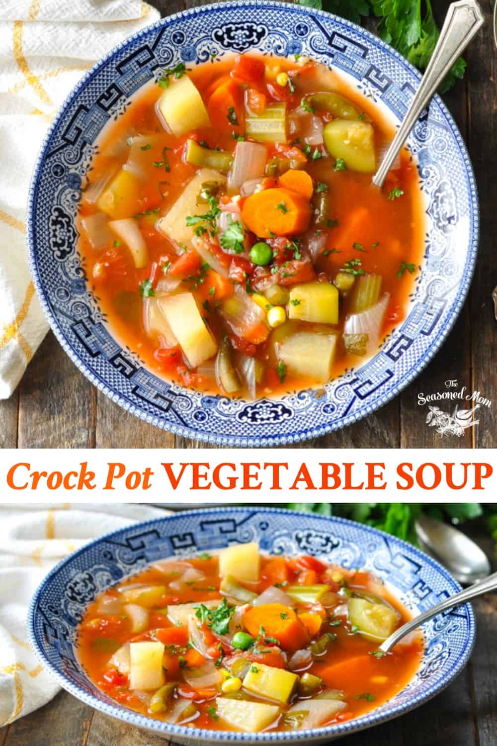 Crock Pot Vegetable Soup The Seasoned Mom