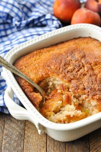 cobbler bisquick