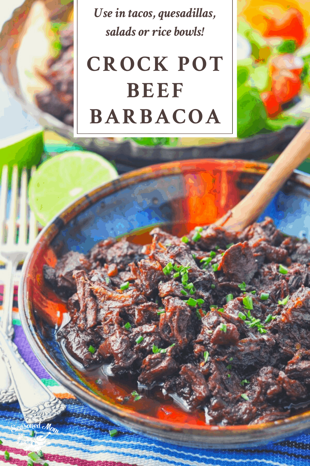 Bowl of Crock Pot Beef Barbacoa with a text title box at the top of the image