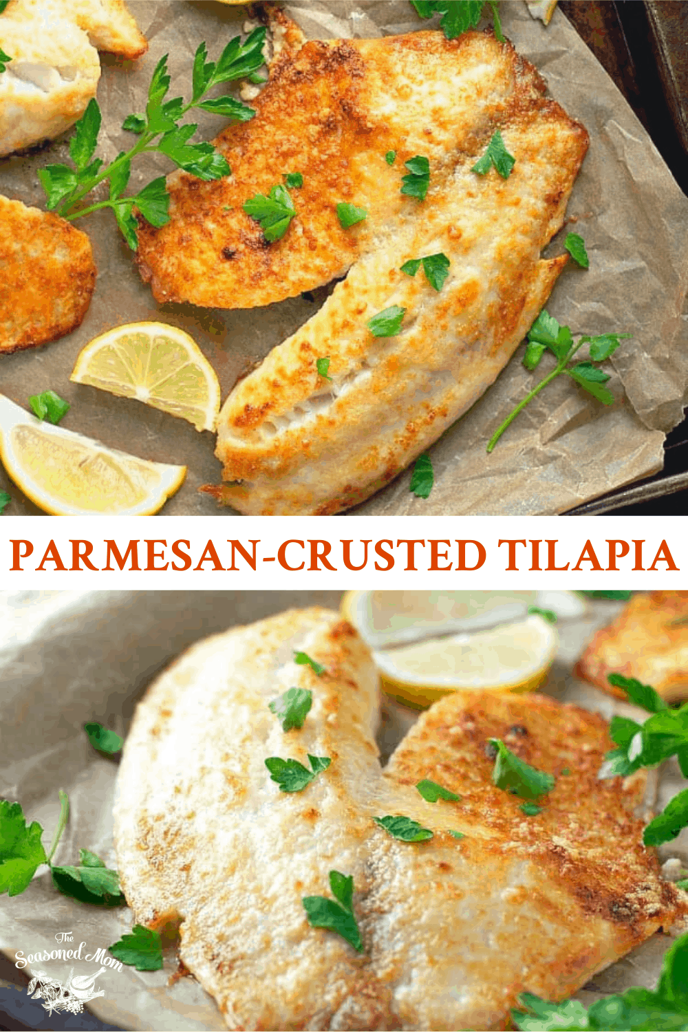 5-Ingredient Parmesan Crusted Tilapia - The Seasoned Mom