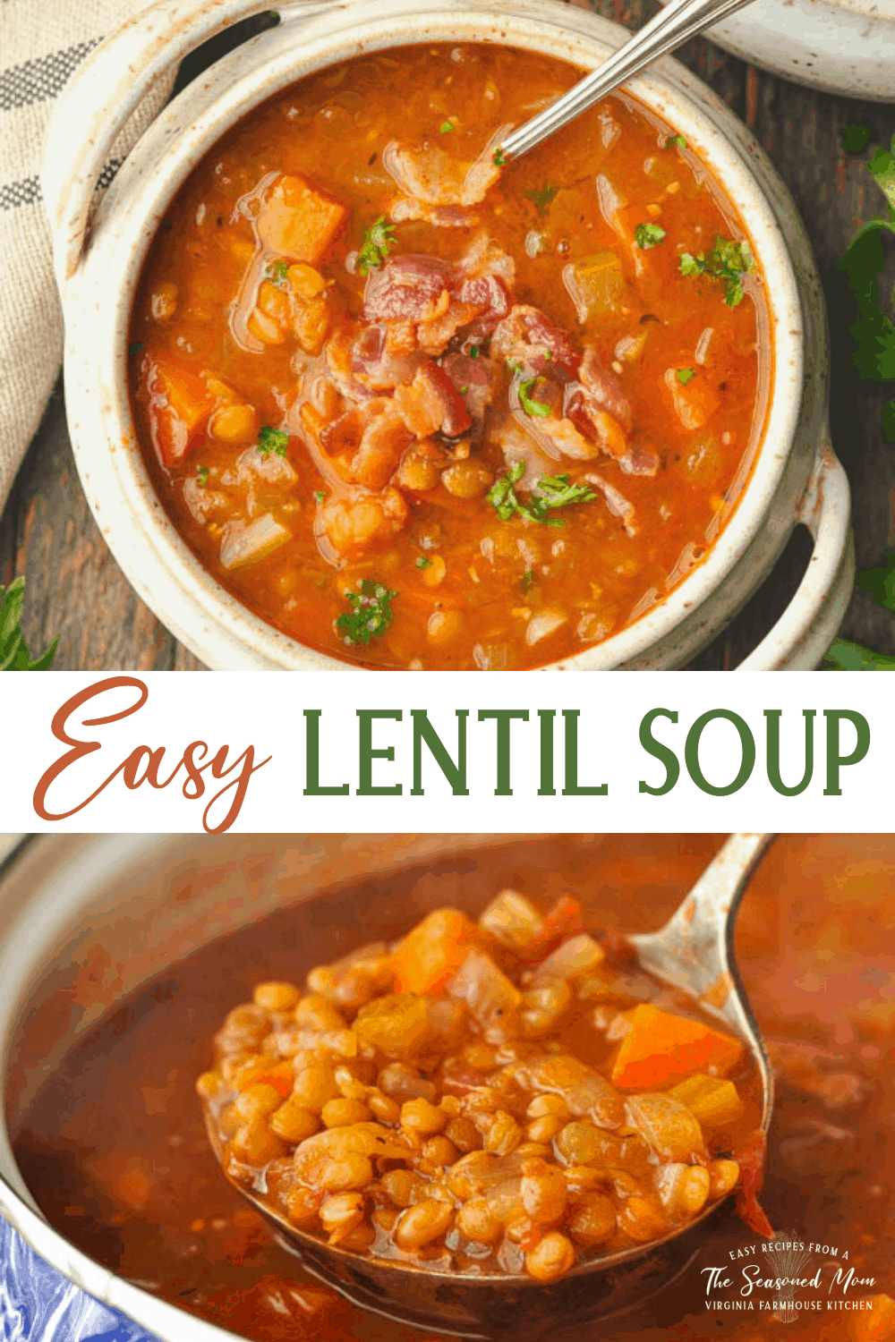 Easy Lentil Soup Recipe - The Seasoned Mom