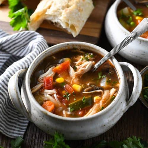 Chicken Vegetable Soup - The Seasoned Mom