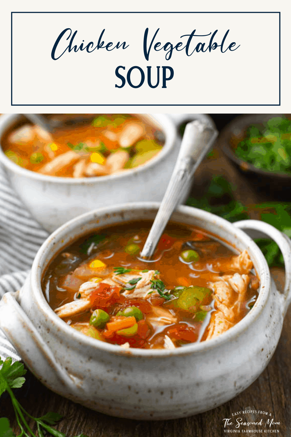 Chicken Vegetable Soup - The Seasoned Mom
