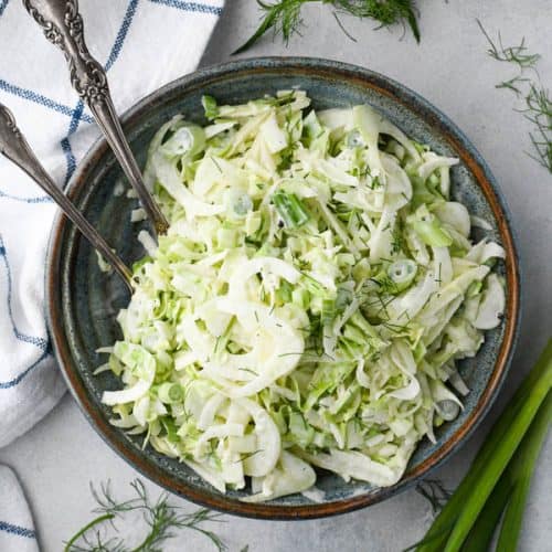 Fennel Salad with Apples & Creamy Cider Dressing - The Seasoned Mom