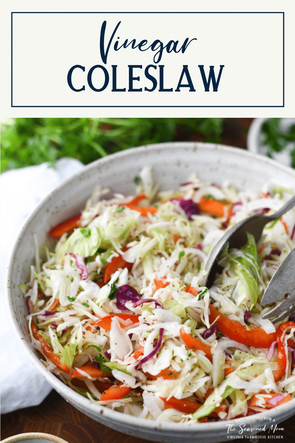 Close up side dish of a bowl of vinegar based coleslaw with text title box at top