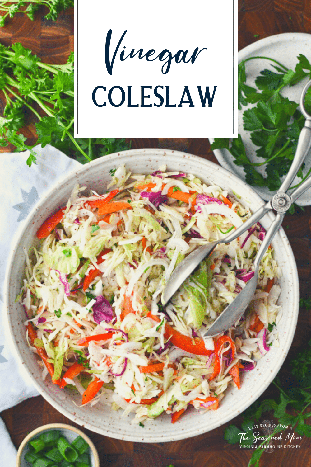 Southern vinegar slaw in a bowl with text title overlay