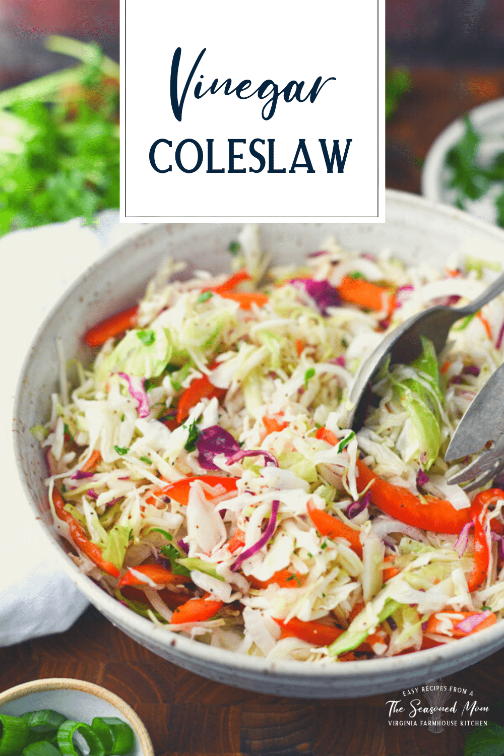 Vinegar coleslaw in a bowl with text title overlay