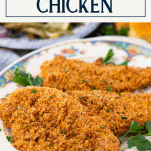 Pecan Crusted Chicken - The Seasoned Mom
