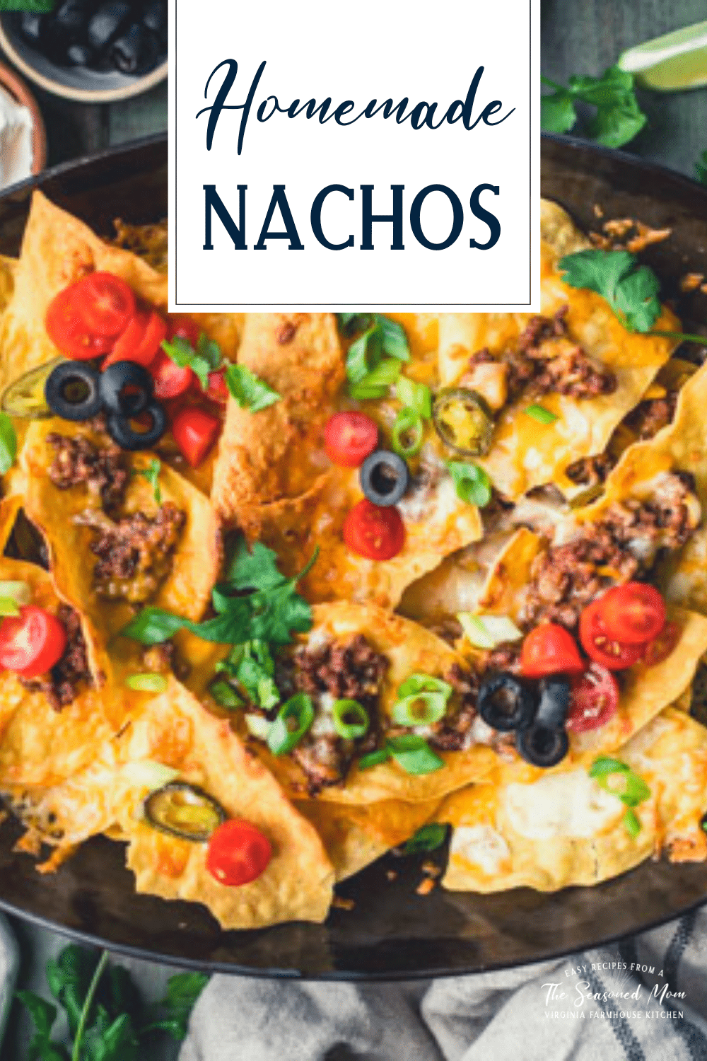 Close up shot of beef nachos with text title overlay