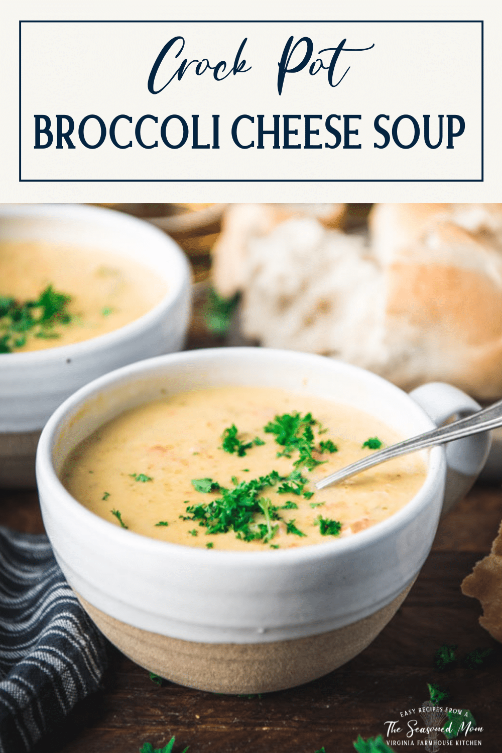 Crockpot Broccoli Cheese Soup with Ham - The Seasoned Mom