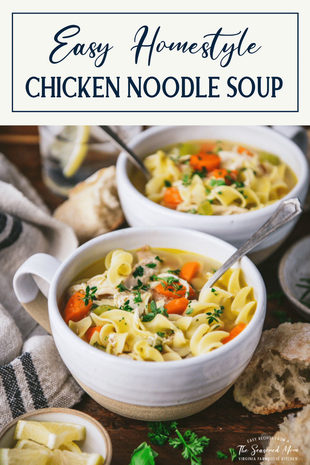 Easy Chicken Noodle Soup - The Seasoned Mom
