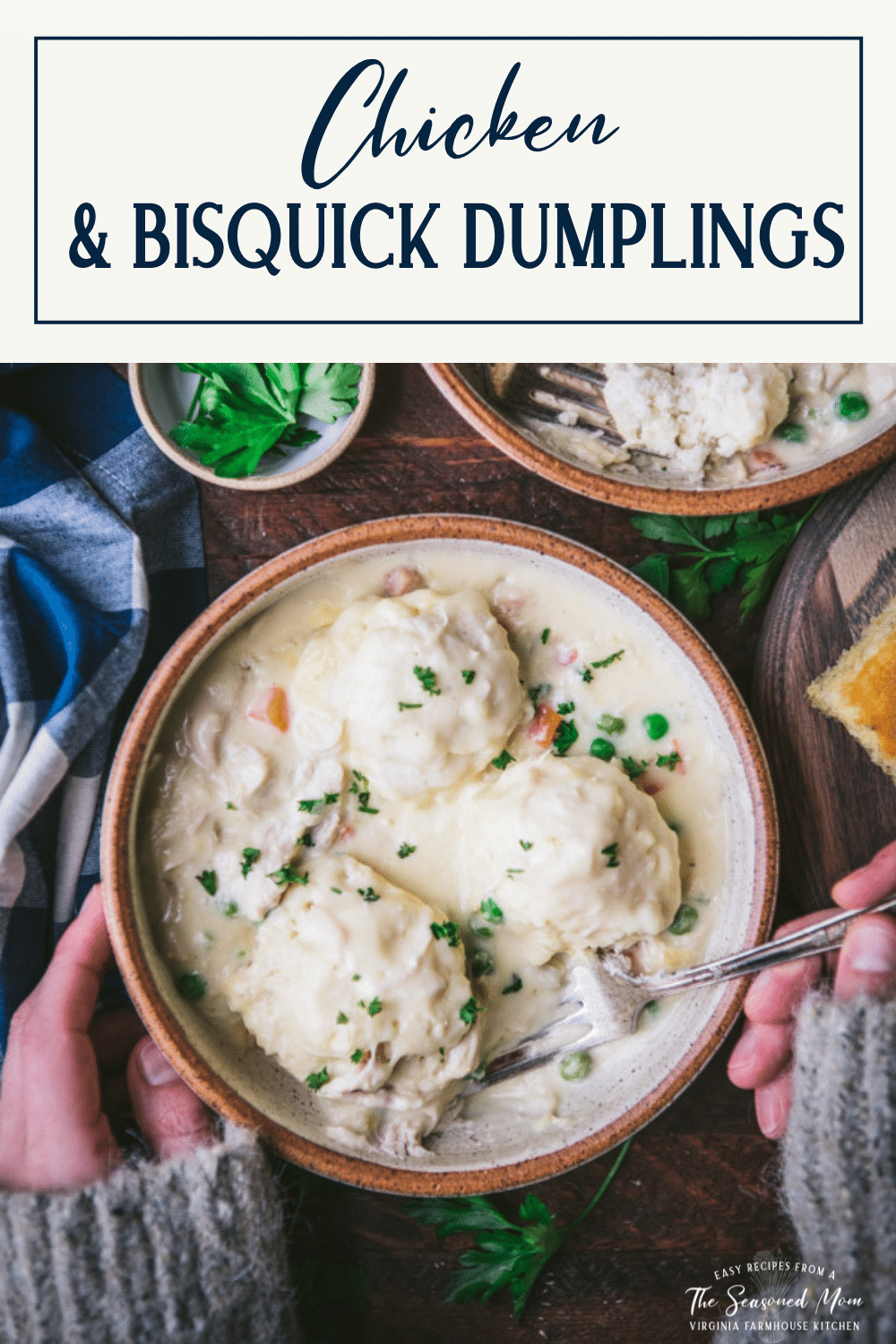 Chicken And Bisquick Dumplings Recipe The Seasoned Mom