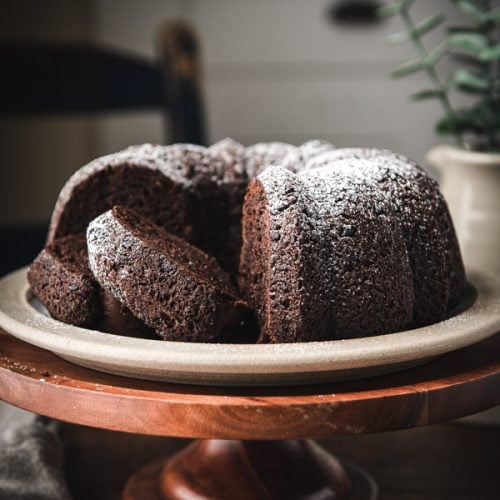 Easy Mini Chocolate Bundt Cakes with a Cake Mix - Practically Homemade