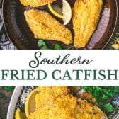 Long collage image of Southern fried catfish.