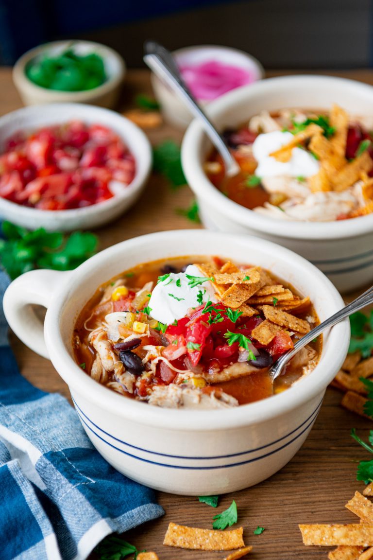 Crock Pot Chicken Tortilla Soup - The Seasoned Mom