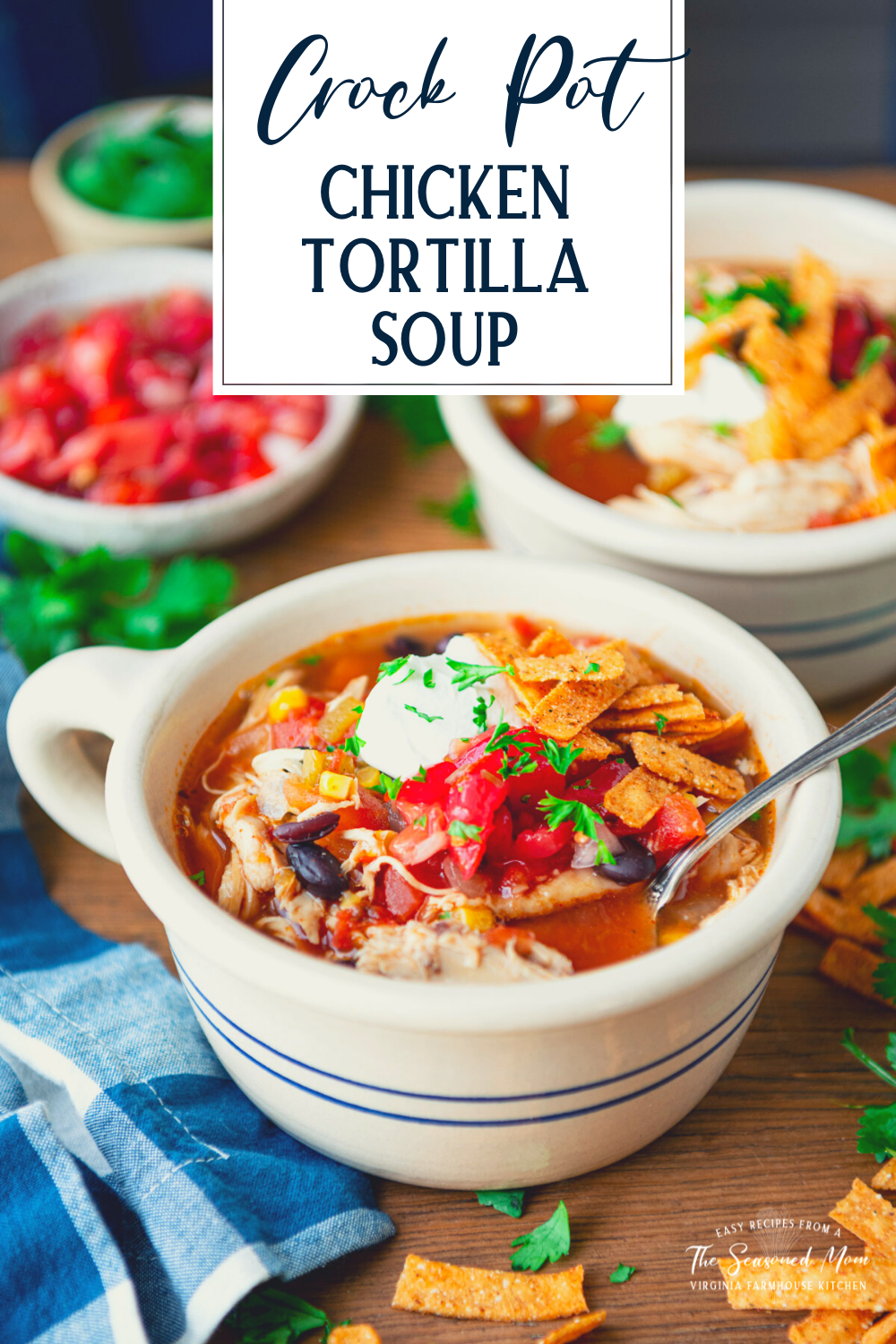 Crock Pot Chicken Tortilla Soup - The Seasoned Mom