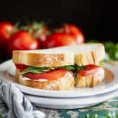 Horizontal side shot of the best tomato sandwich recipe on a white plate.