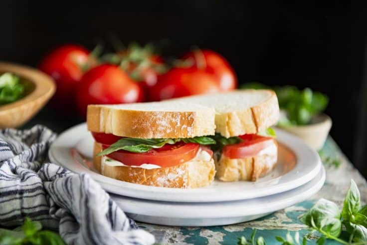 Horizontal side shot of the best tomato sandwich recipe on a white plate.