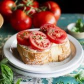 Square side shot of a southern tomato sandwich on a white plate.