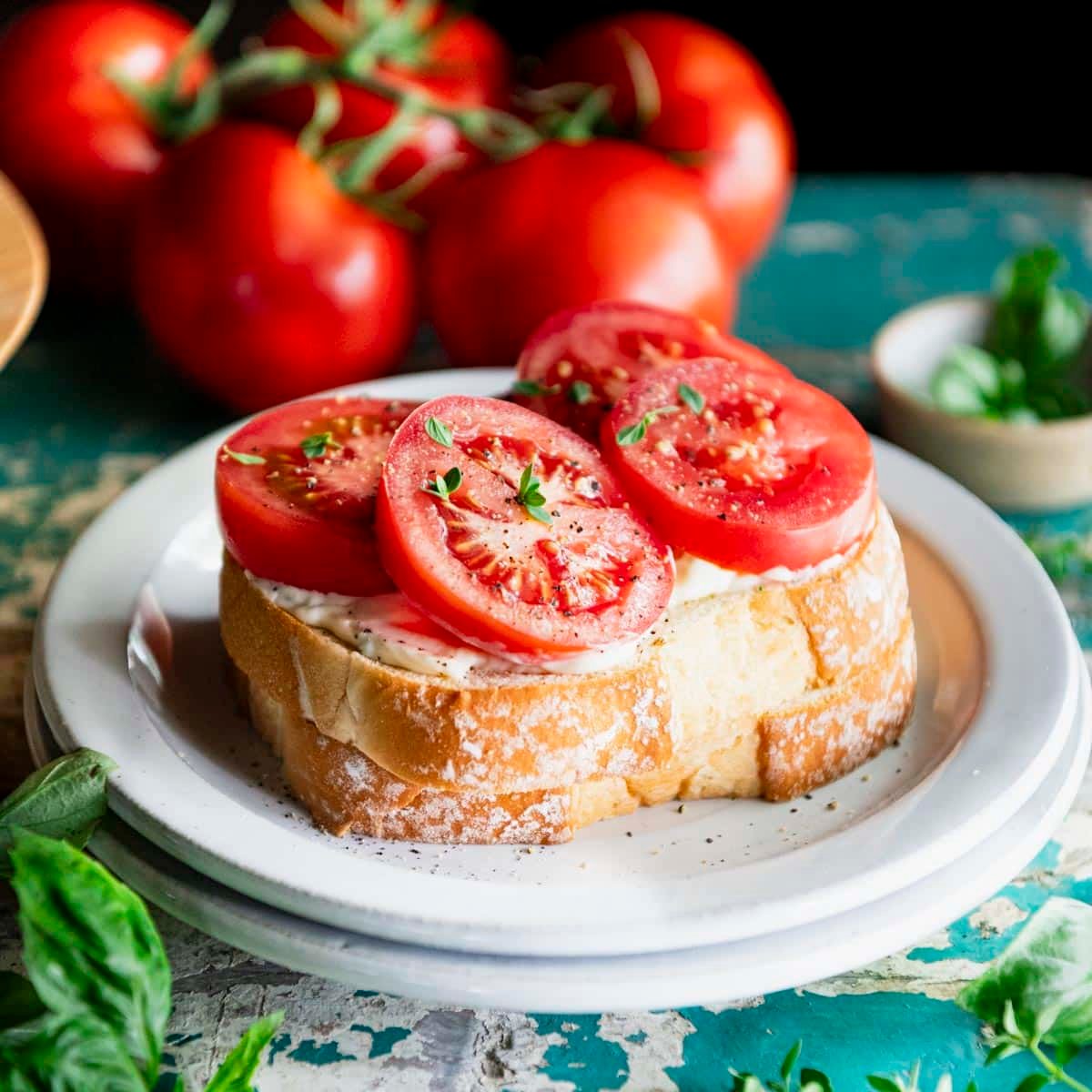 Square side shot of a southern tomato sandwich on a white plate.