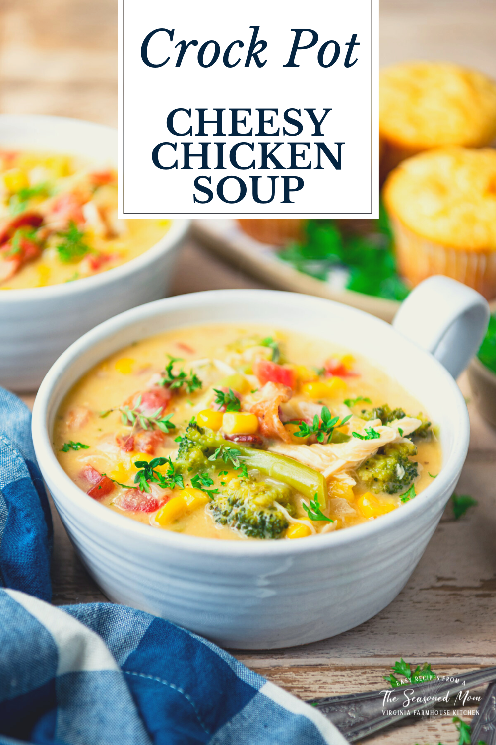 Cheesy Crock Pot Chicken Soup - The Seasoned Mom