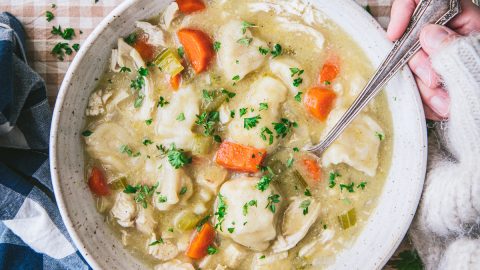 Chicken and Dumplings - The Cozy Cook