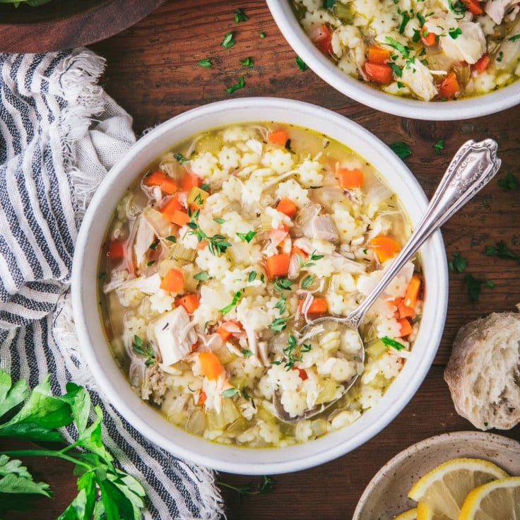 Chicken Vegetable Soup - The Seasoned Mom