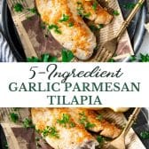 Long collage image of garlic parmesan tilapia recipe.