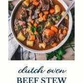 Dutch Oven Beef Stew - The Seasoned Mom