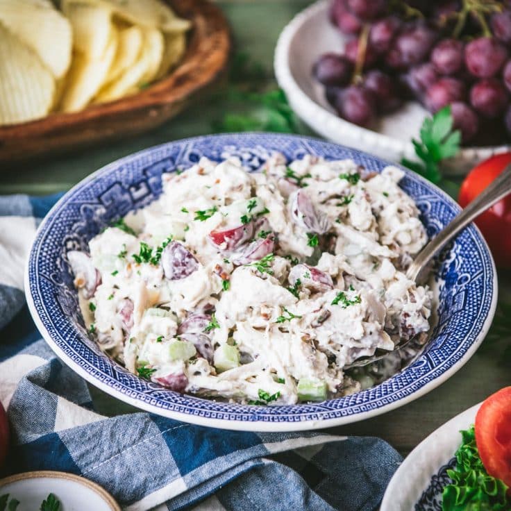 Greek Yogurt Chicken Salad - The Seasoned Mom