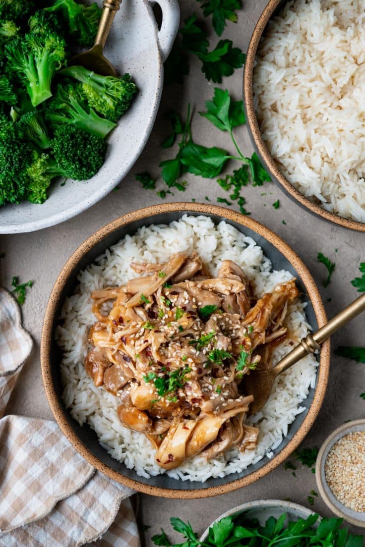 Crock Pot Maple Soy Chicken - The Seasoned Mom