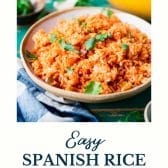 https://www.theseasonedmom.com/wp-content/uploads/2023/06/Easy-Spanish-Rice-Recipe-Pin-4-168x168.jpg