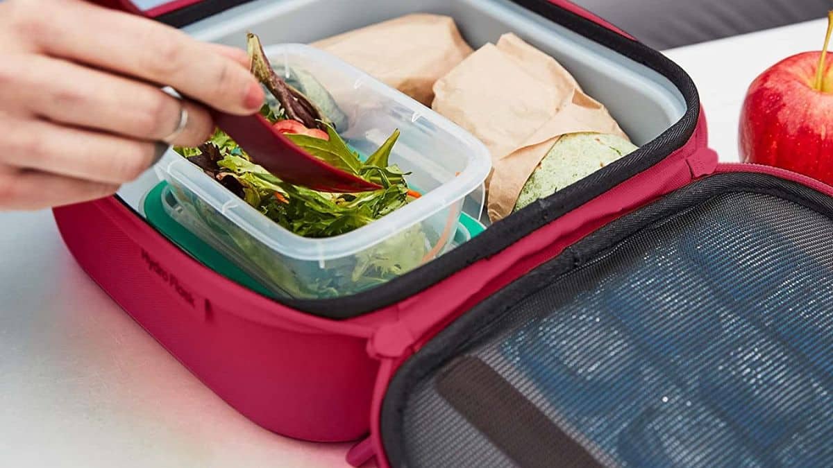 The 25 Best Lunch Boxes, Water Bottles, and Food Containers for