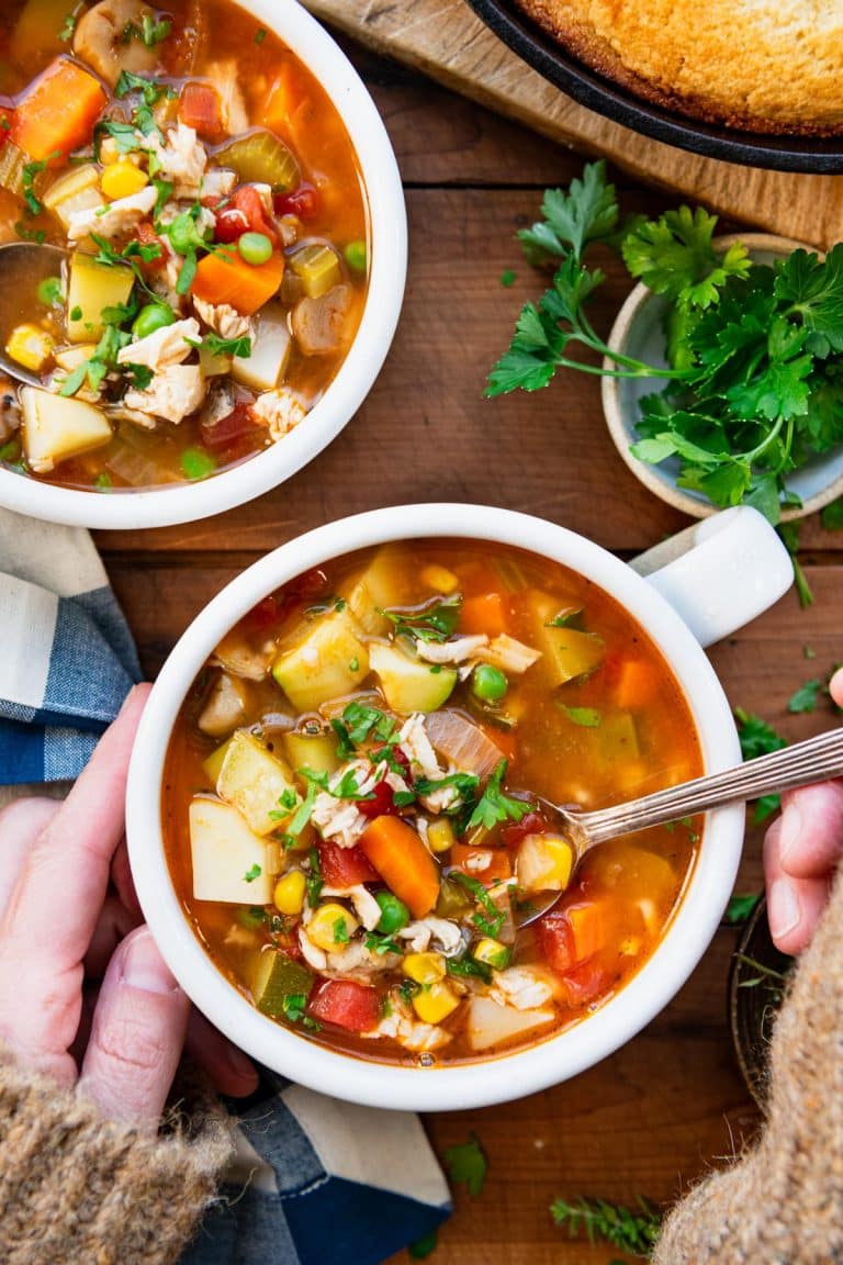 Chicken Vegetable Soup - The Seasoned Mom