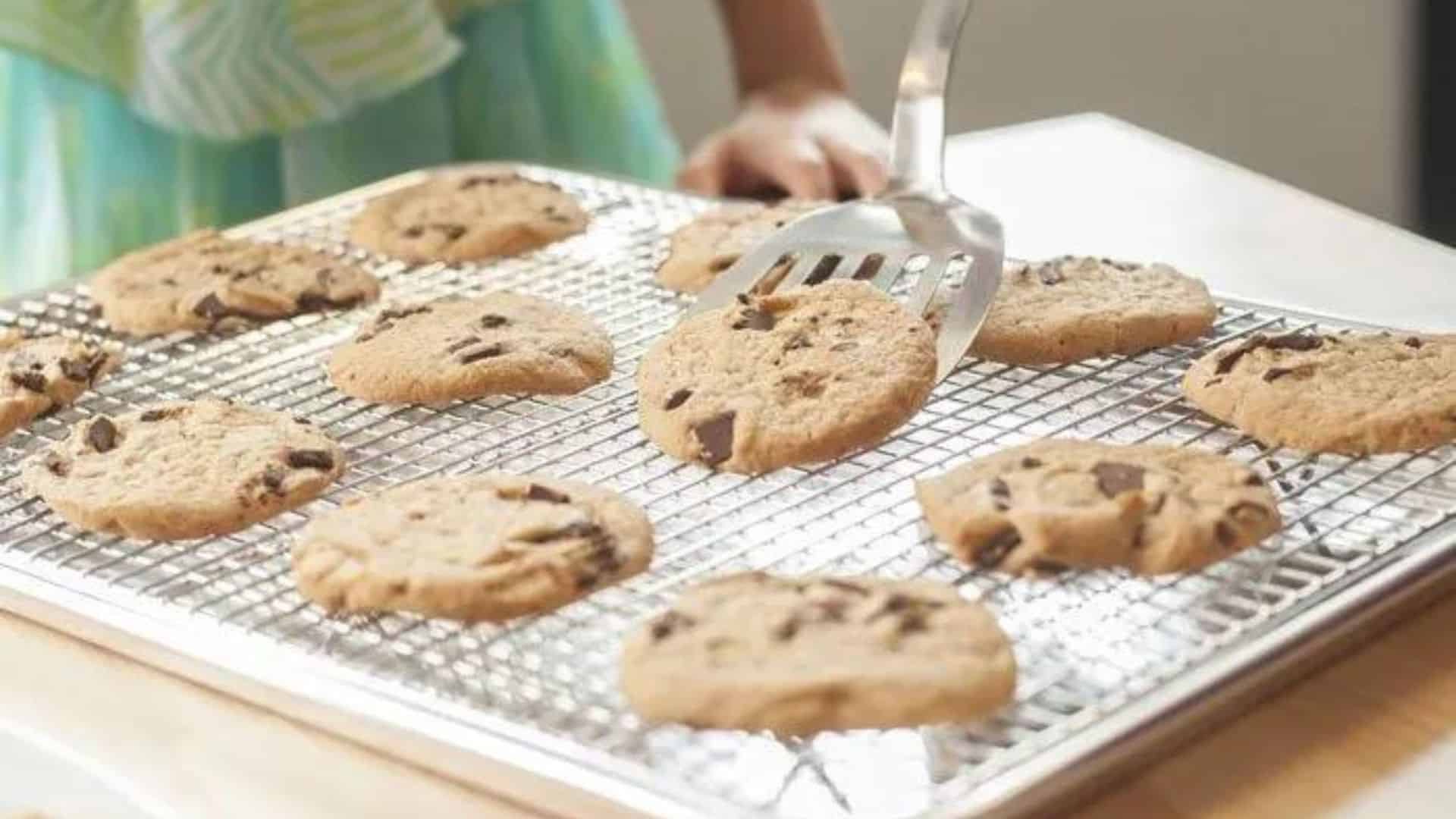 The 4 Best Cooling Racks in 2023