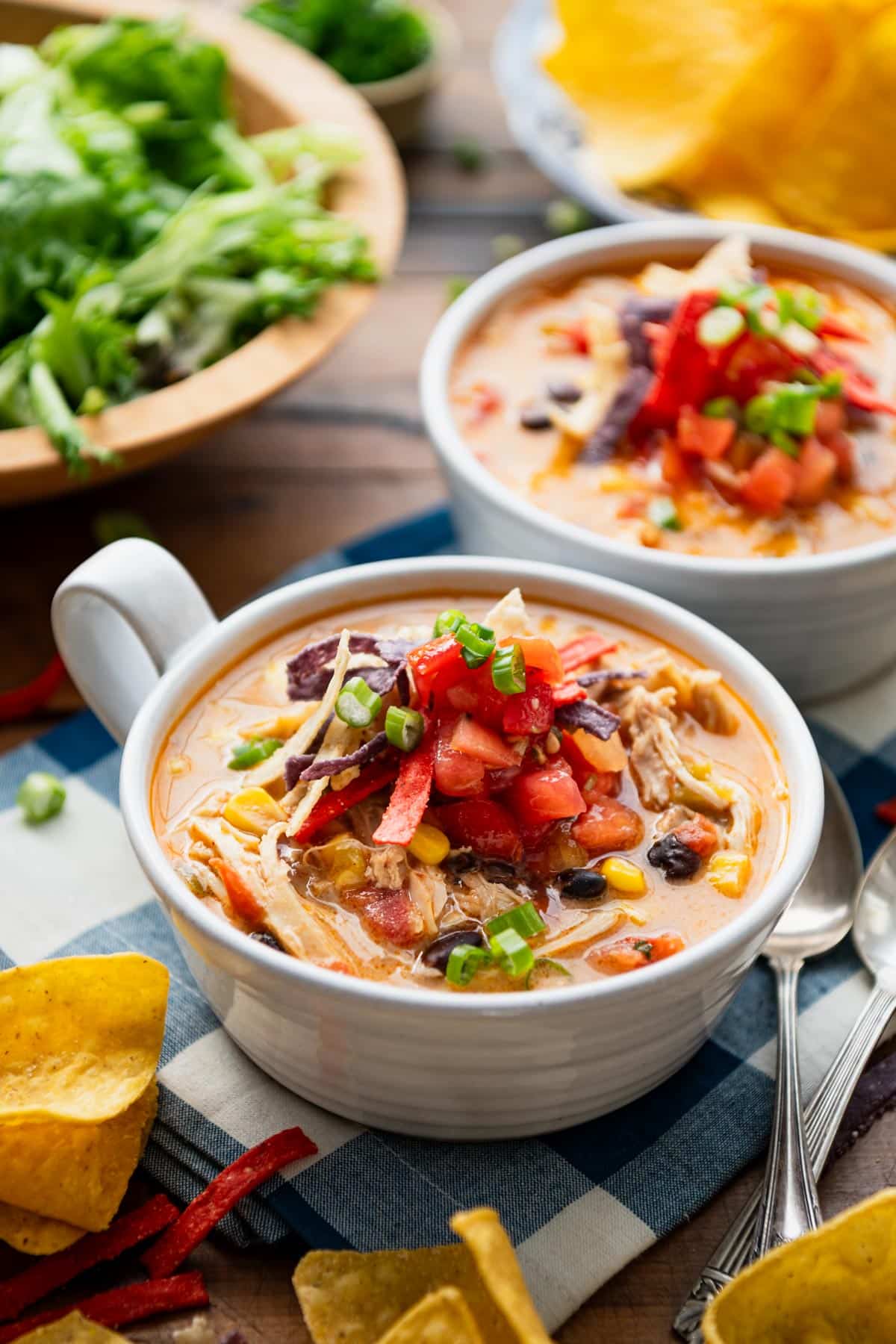 Chicken Enchilada Soup {Quick & Easy!} –